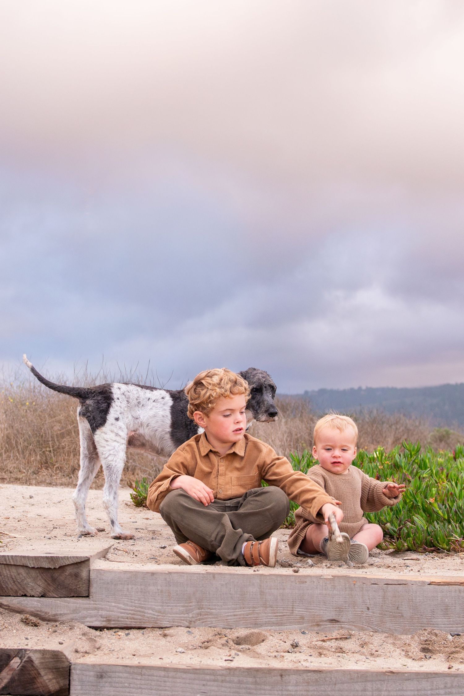carmel family photographer
carmel family photographer instagram
carmel family photographer photos
carmel family photographer