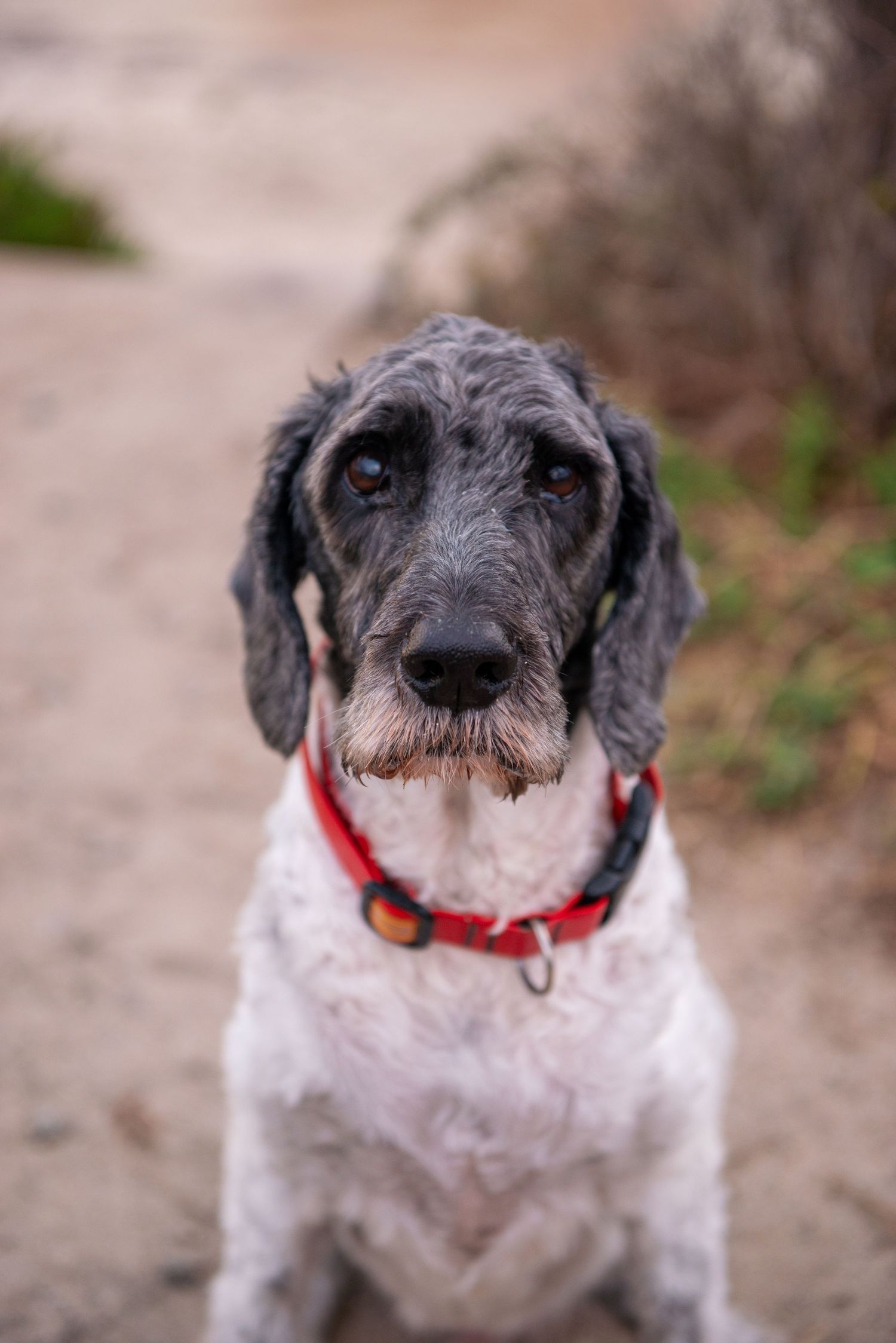 carmel family photographer
carmel family photographer instagram
carmel family photographer photos
carmel family photographer
