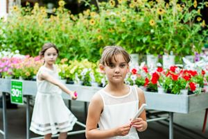 Wedding party poses in a bright garden setting with colorful flowers and planters.