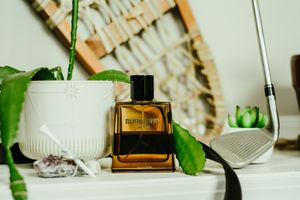 Perfume bottle and white ceramic pot displayed with green leaves against a neutral background.