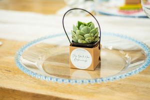 Wedding reception table settings with delicate blue-rimmed plates and succulent favors.