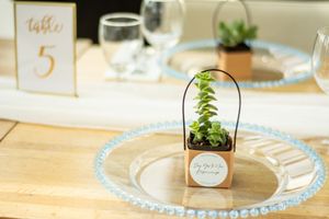 Table settings with small potted plants and decorative elements for an elegant celebration.