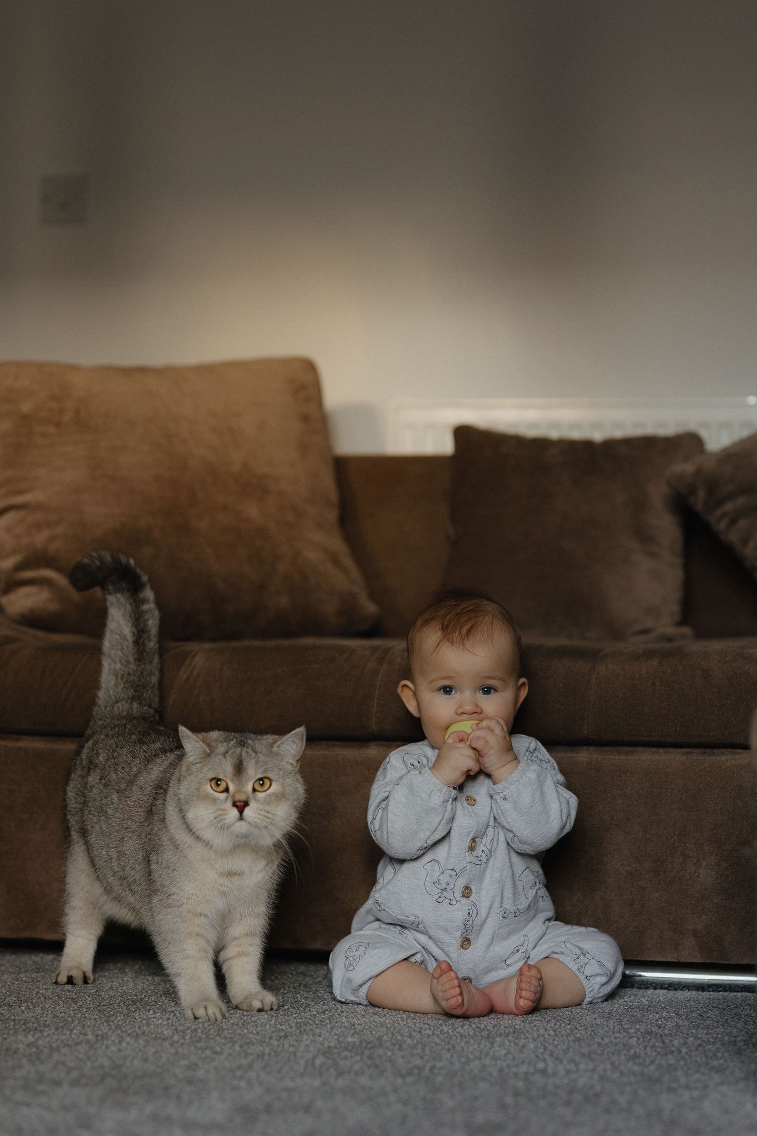 A small child in blue pajamas sits on a floor beside a fluffy gray and white cat.