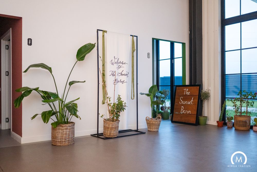 Modern office hallway with tall windows, potted plants, and minimalist decor along white walls.