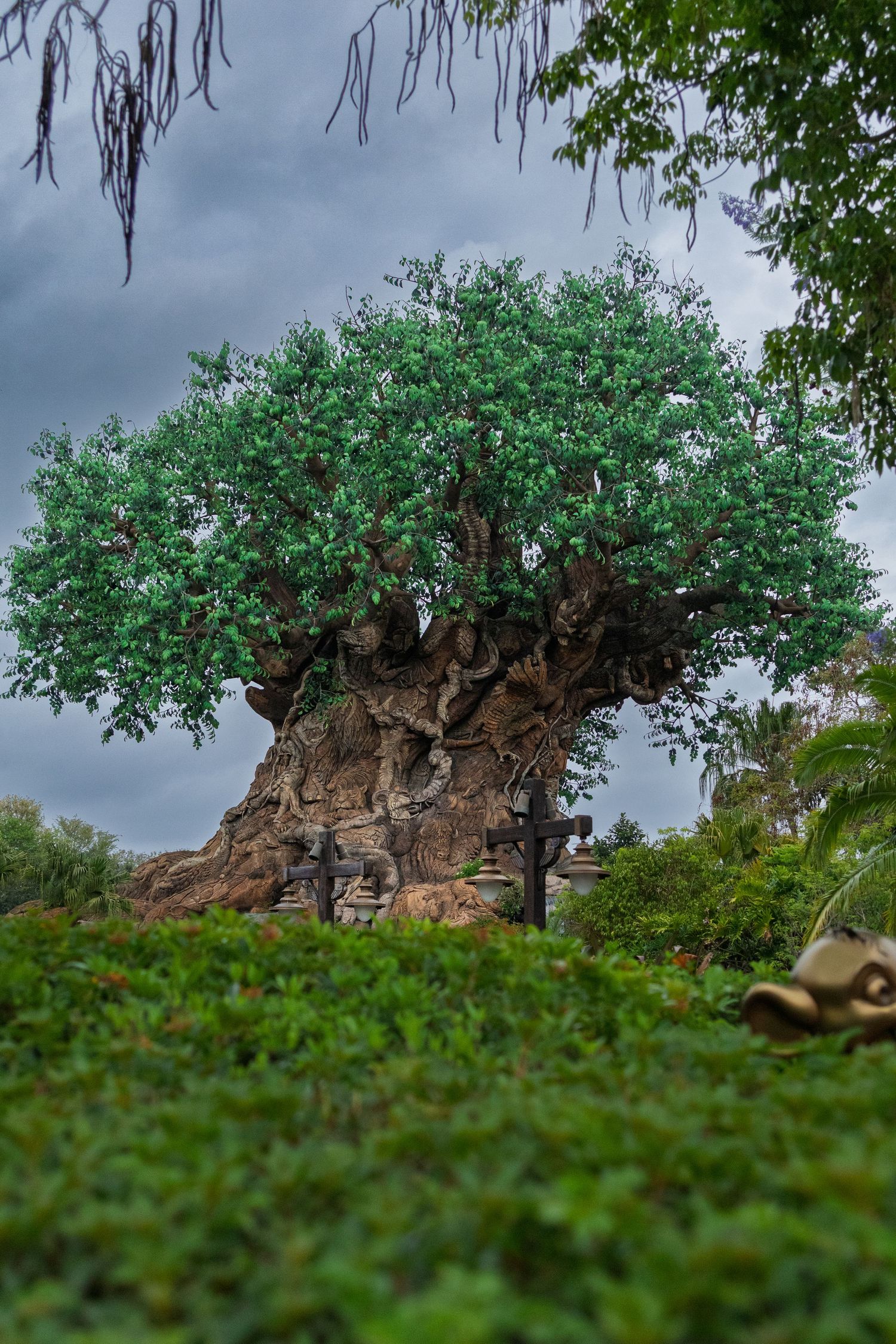 The iconic Tree of Life rises majestically against a cloudy sky at Disney's Animal Kingdom theme park.