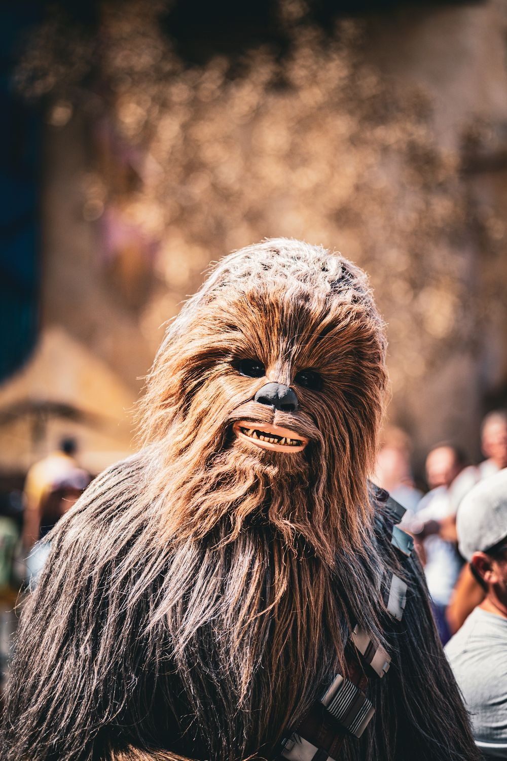 Close-up sequence of a furry brown Chewbacca costume head from Star Wars seen at an outdoor event.