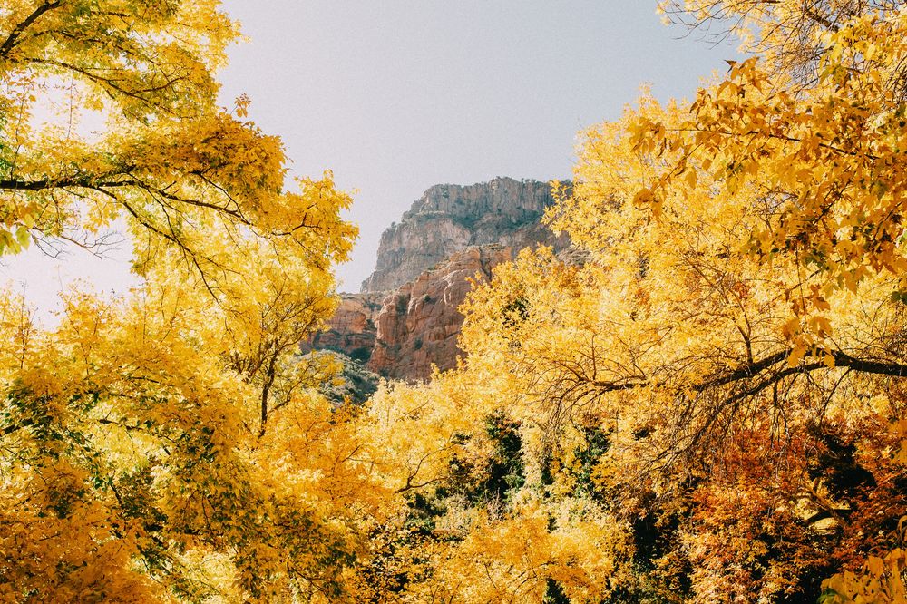 Sedona views during fall