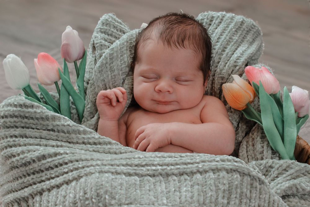 Newborn / Fresh 48