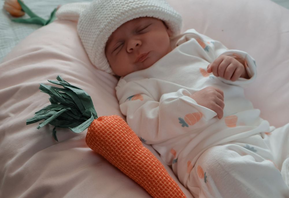 Newborn / Fresh 48