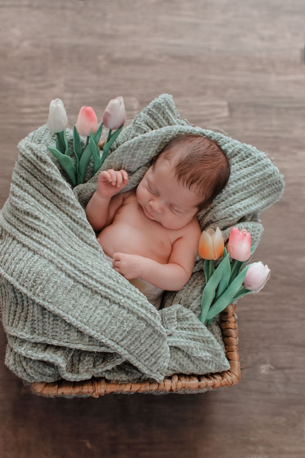 Newborn / Fresh 48