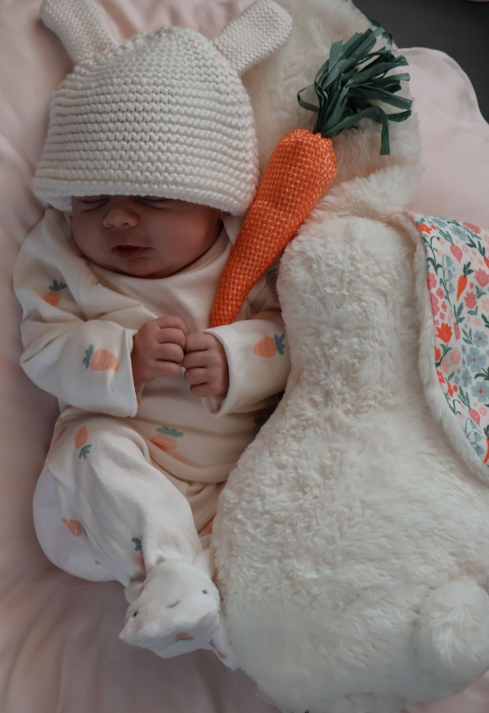 Newborn / Fresh 48