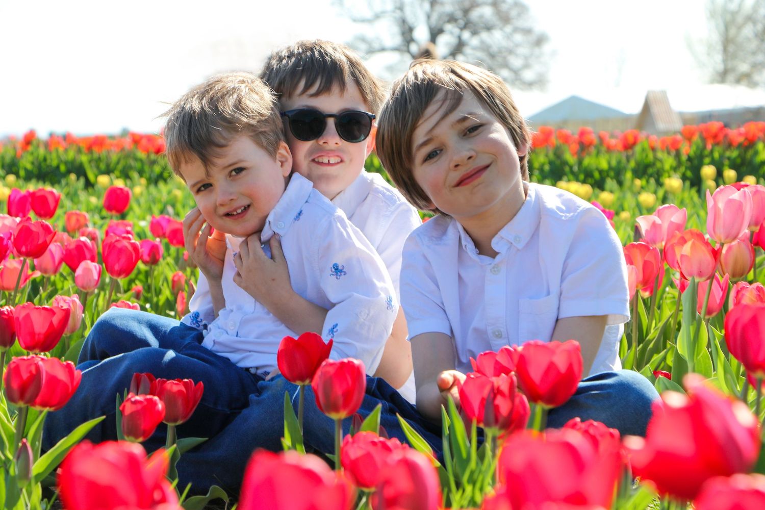 family moments shared among colorful tulips in a spring garden. Coventry and Warwickshire Photographer. Mothers Day Mini Sessions