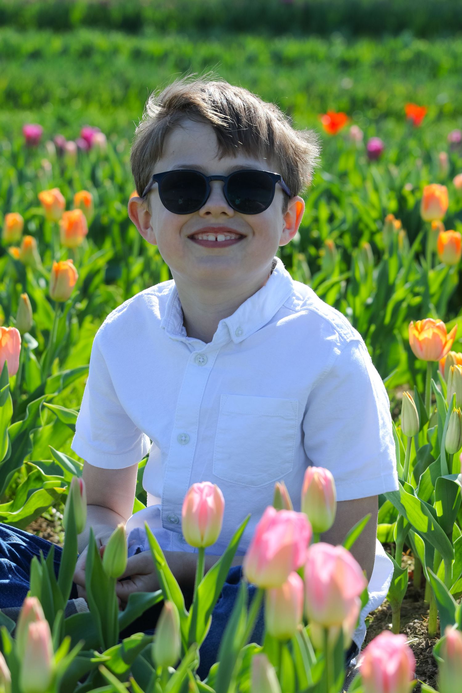 family moments shared among colorful tulips in a spring garden. Coventry and Warwickshire Photographer. Mothers Day Mini Sessions