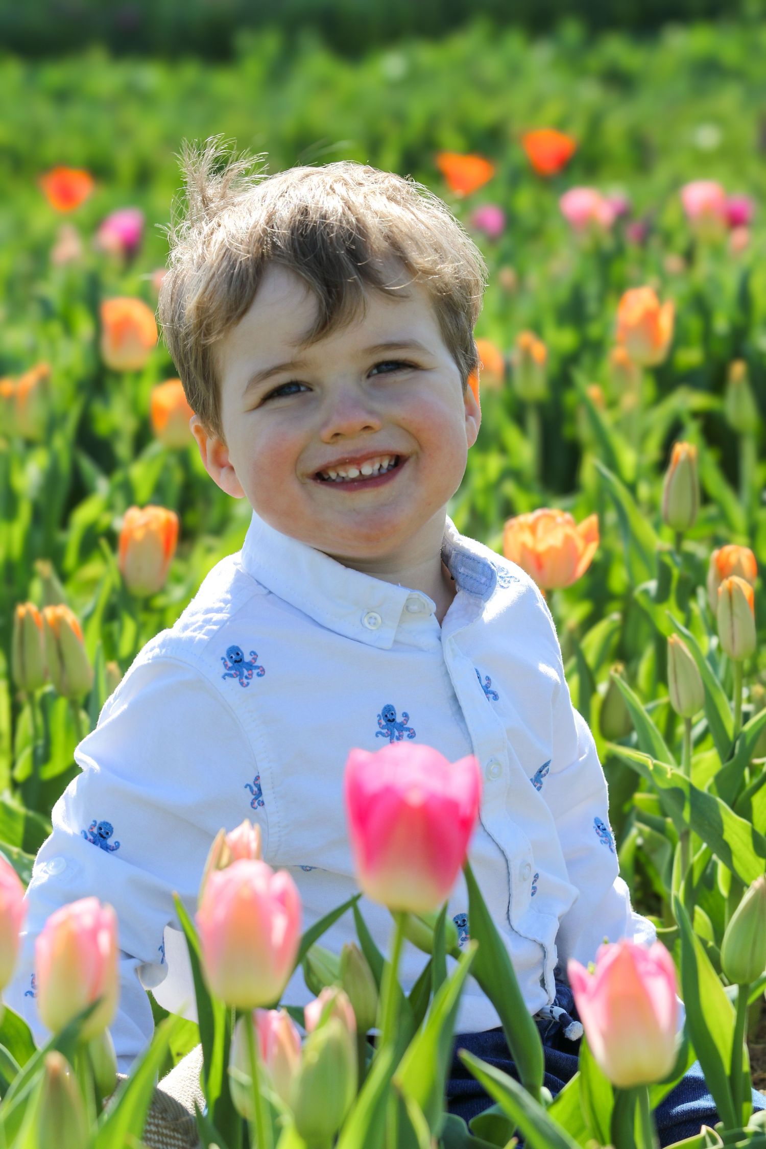 family moments shared among colorful tulips in a spring garden. Coventry and Warwickshire Photographer. Mothers Day Mini Sessions