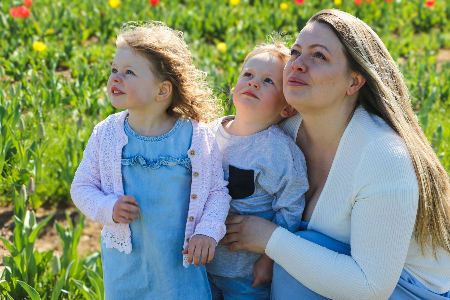 family moments shared among colorful tulips in a spring garden. Coventry and Warwickshire Photographer. Mothers Day Mini Sessions