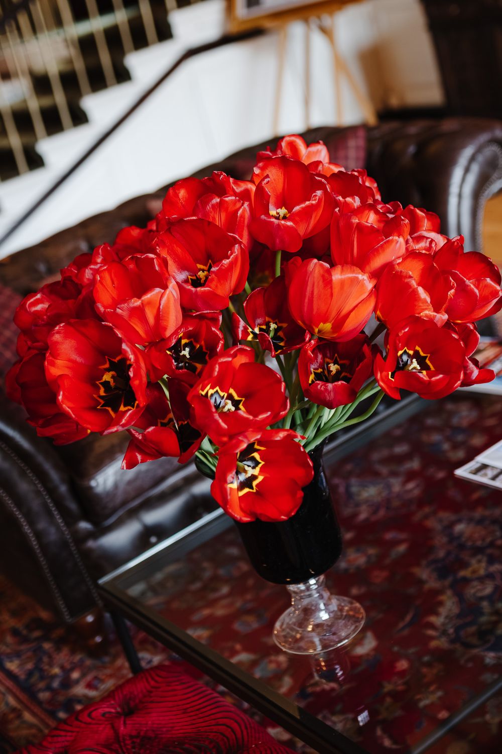 Vibrant red tulips in a black vase on a glass table, set against a leather sofa and ornate rug.