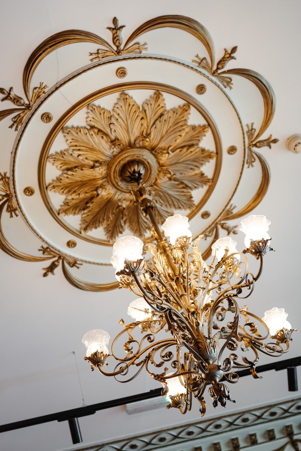 Ornate gold chandelier hanging from decorative ceiling rose in classical style.