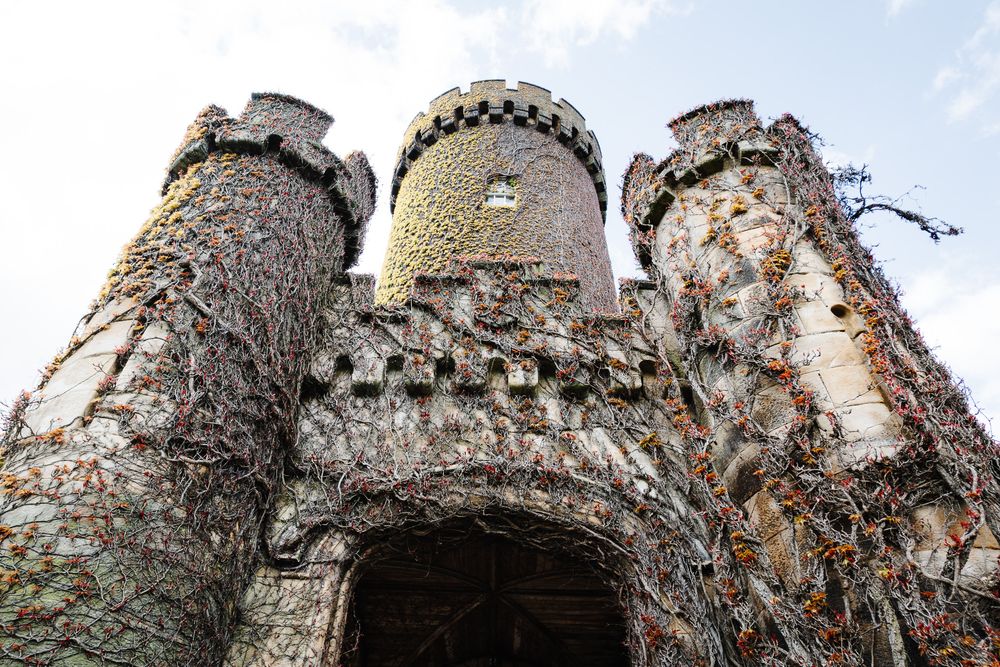Low angle view of an ivy-covered medieval castle gatehouse with twin turrets against cloudy sky.