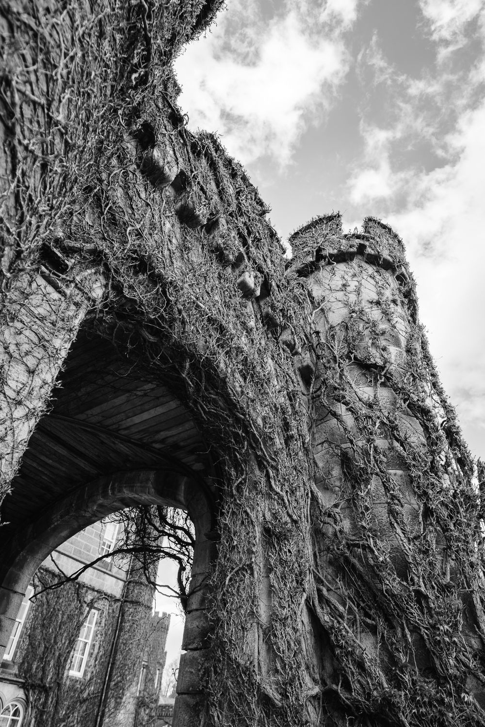 Black and white photo of a vine-covered medieval castle archway and tower ruins against a dramatic cloudy sky.