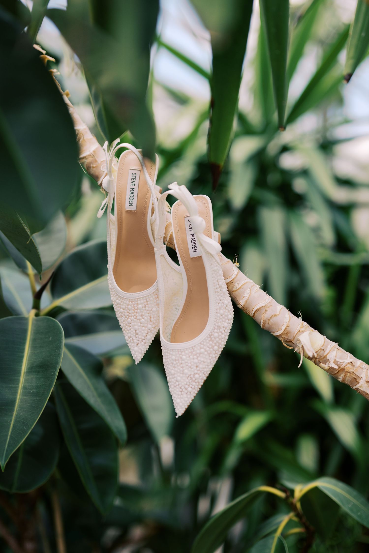 Steve Madden white pearl embellished slingback wedding shoes hanging on a tropical plant branch.