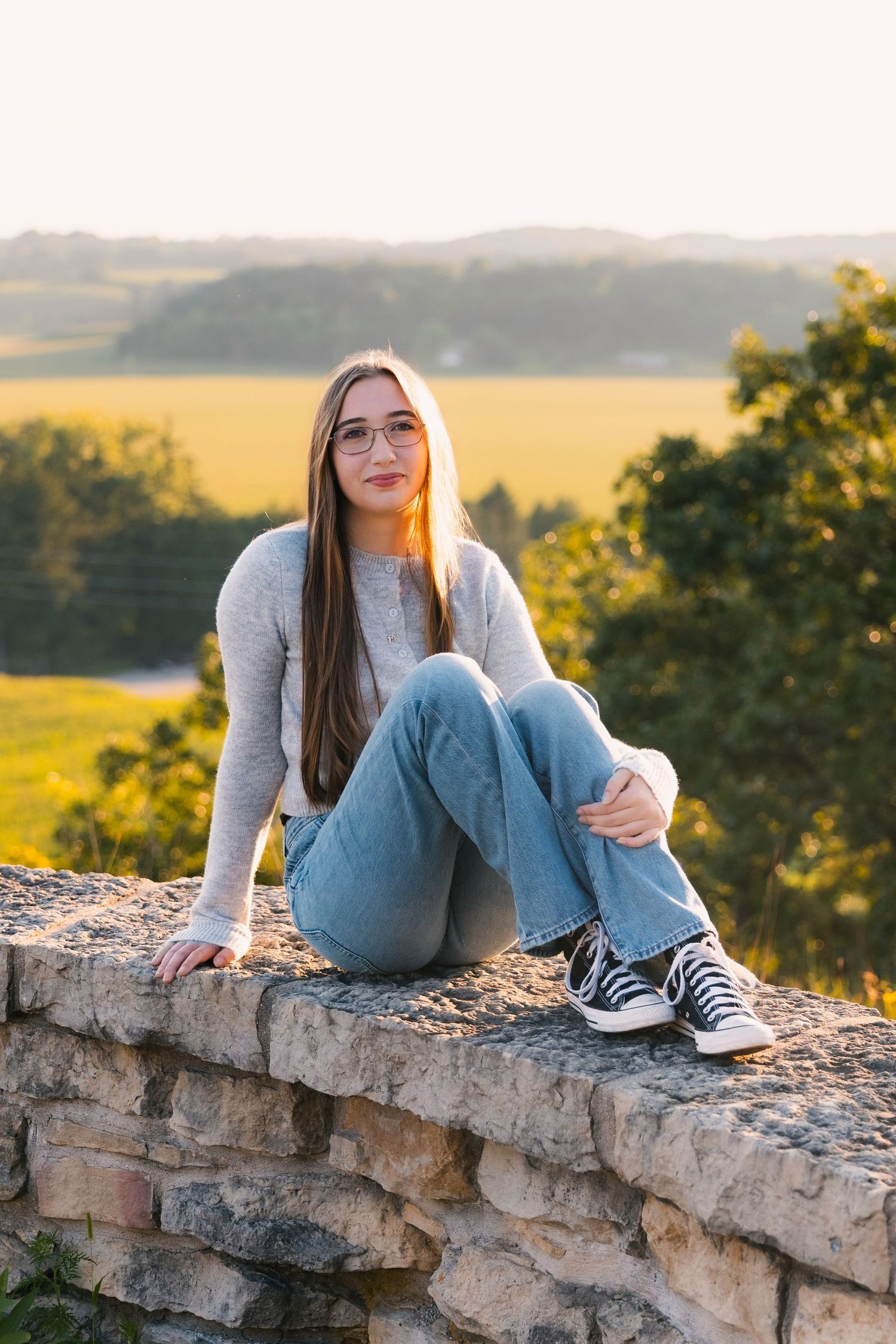 festge county park cross plains wisconsin senior photo location natural wildflowers yellow greenery field epic views rustic stone wall wi