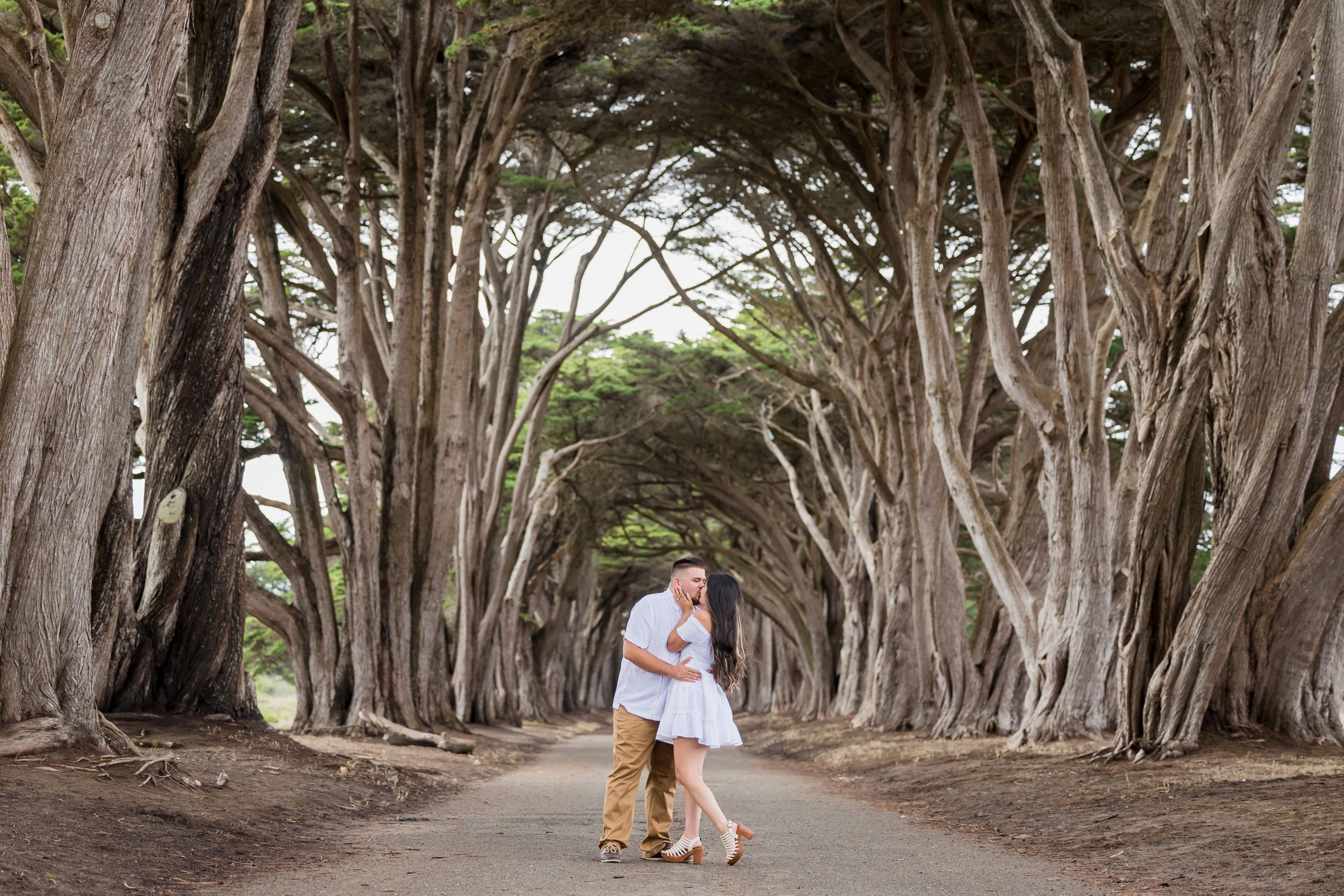 Couple embracing under a stunning cypress tree tunnel on a scenic path, perfect for romantic engagement photos.