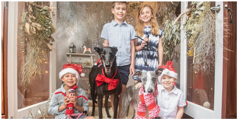 Family Christmas photo session with holiday decorations and Santa hats.