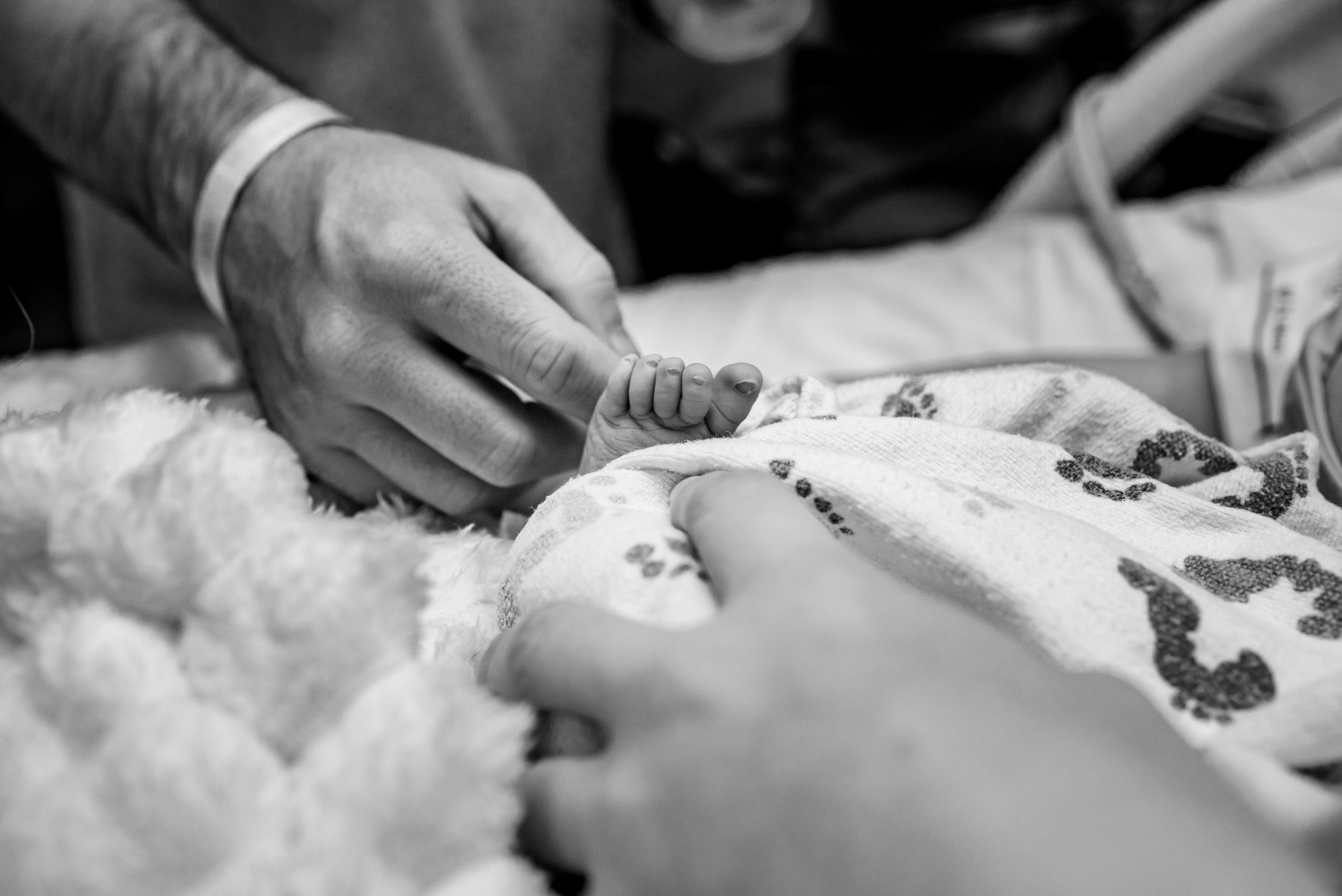 Close-up black and white image of adult hands gently holding a tiny newborn baby hand.