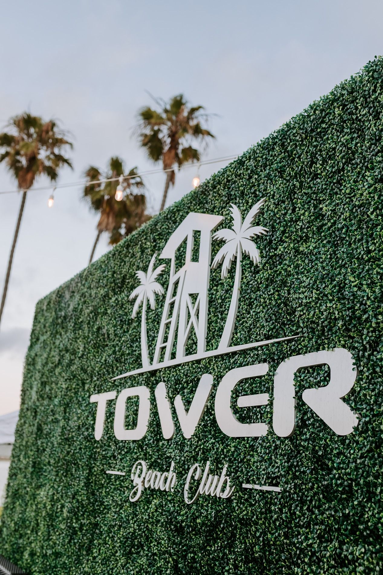 Tower Beach Club sign on lush green hedge wall with palm trees and string lights in background.