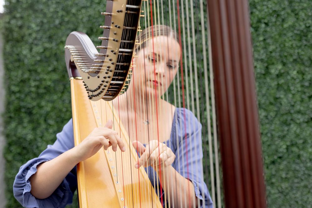 Young woman plays a large wooden harp at an outdoor event against a green hedge backdrop.