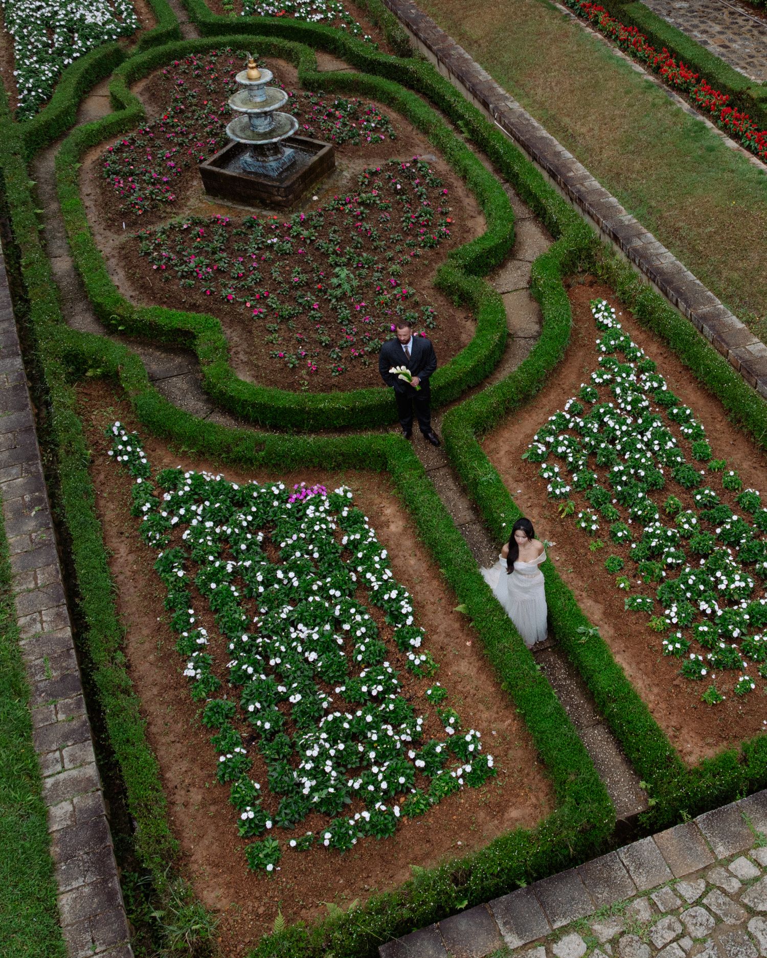Aerial drone view of bride and groom in formal garden with geometric hedges and fountain.