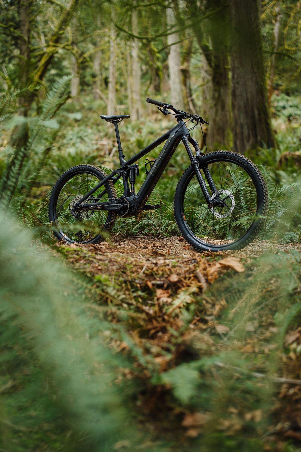 Full-suspension black e-mountain bike standing on a dirt path in a dense green forest.