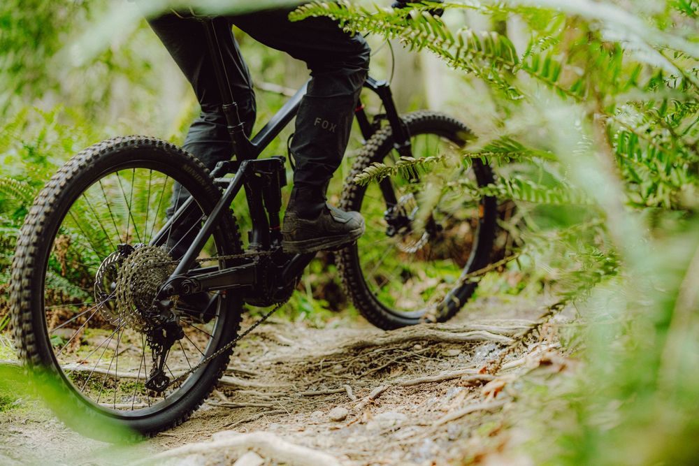 Close-up of a mountain biker riding a black bike through a lush fern-lined forest trail.
