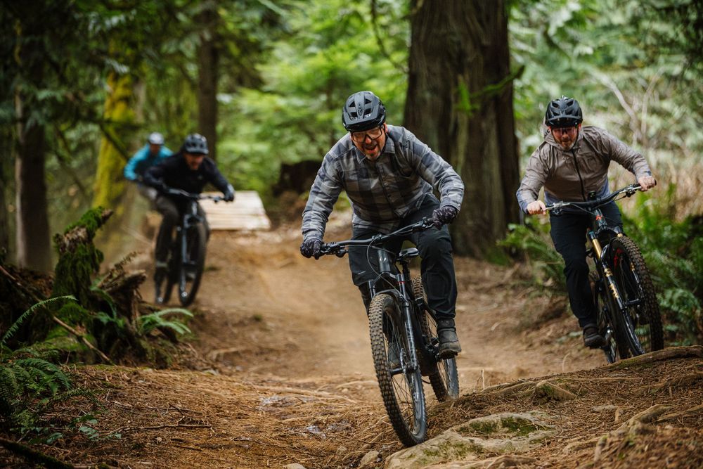 Three mountain bikers riding downhill on a forest trail surrounded by ferns and tall trees.
