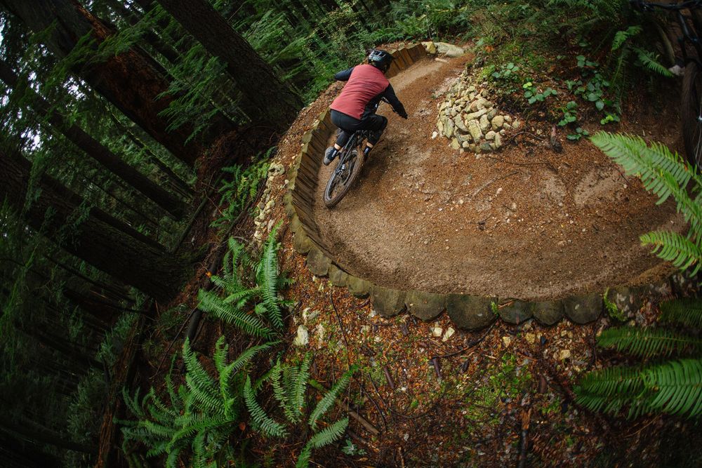 Mountain biker navigating a curved dirt trail through a lush green forest, captured from an aerial perspective.