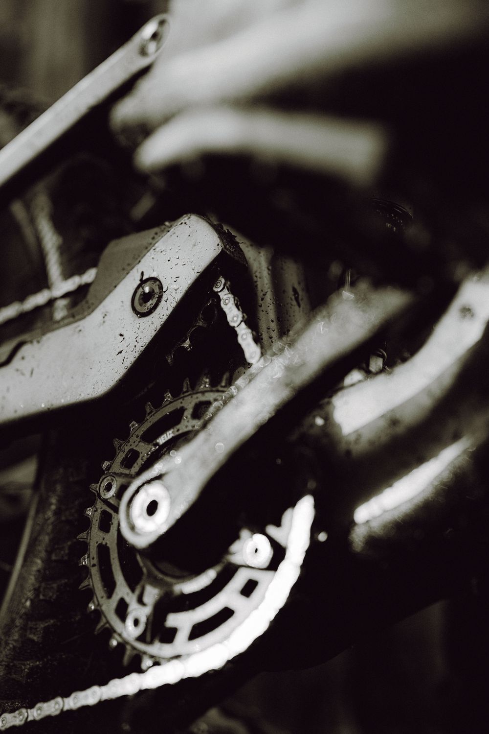 Macro black and white shot of a muddy mountain bike drivetrain showing chainring and chain.
