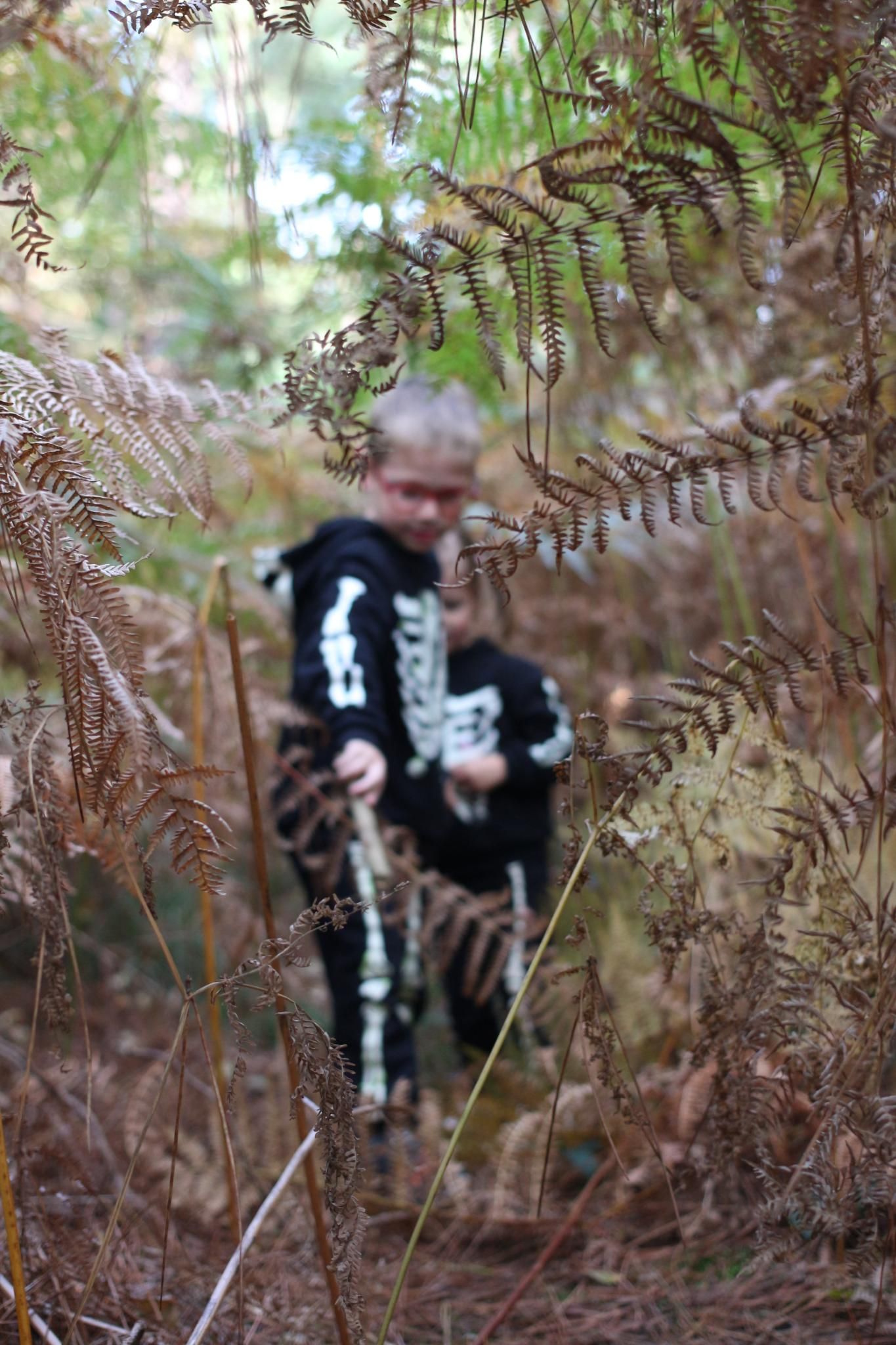 enfant, forêt, photographe ille et vilaine, lumeria
montfort sur meu