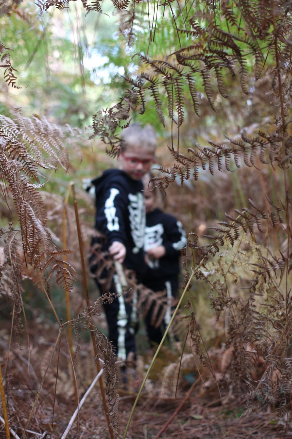 enfant, forêt, photographe ille et vilaine, lumeria
montfort sur meu