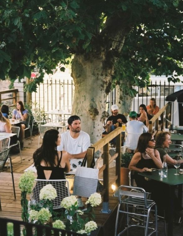 People enjoying drinks and conversation at an outdoor patio with lush greenery overhead.