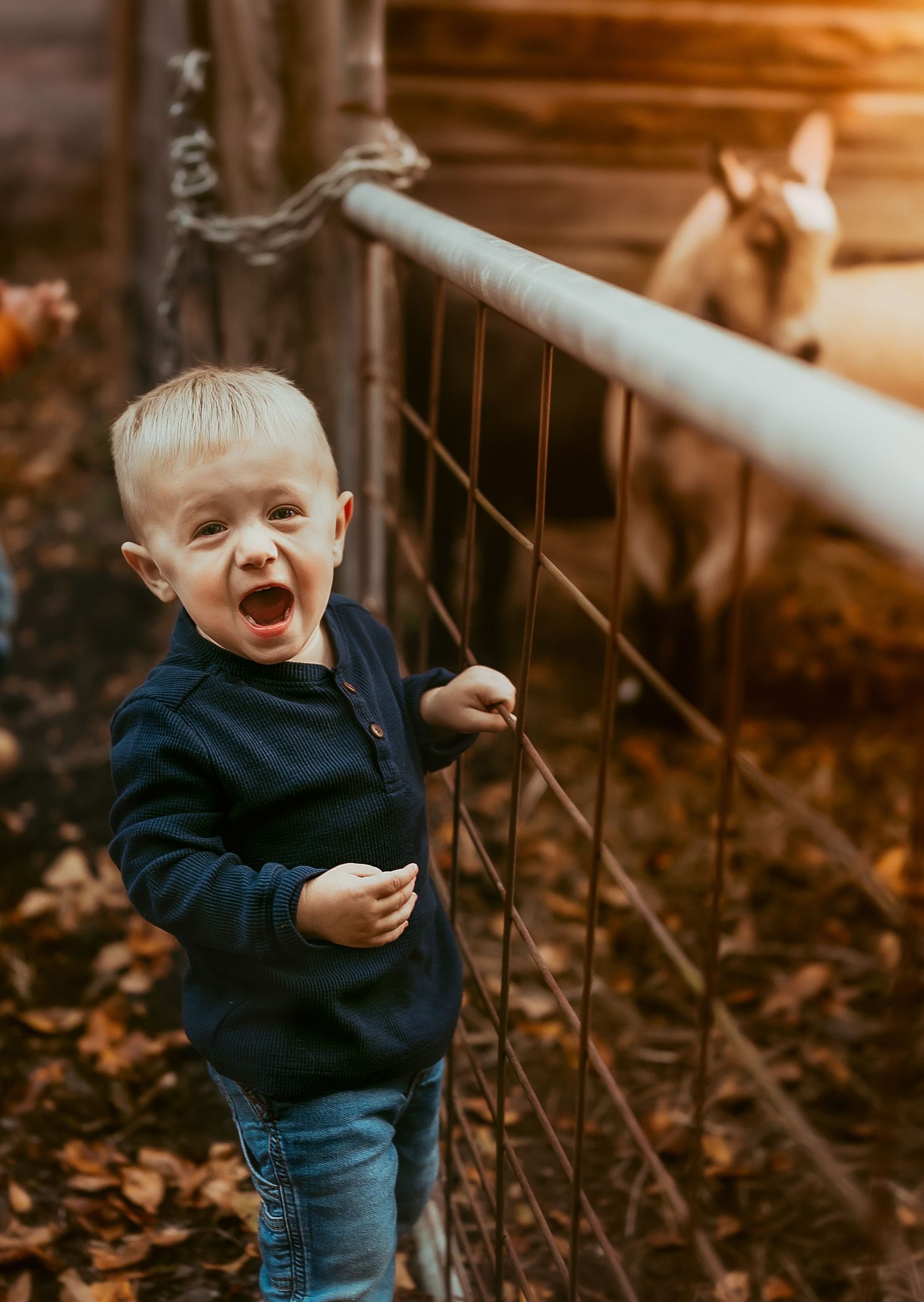 A joyful toddler in a navy sweater and jeans laughs while standing near a fence with a horse visible in the background.