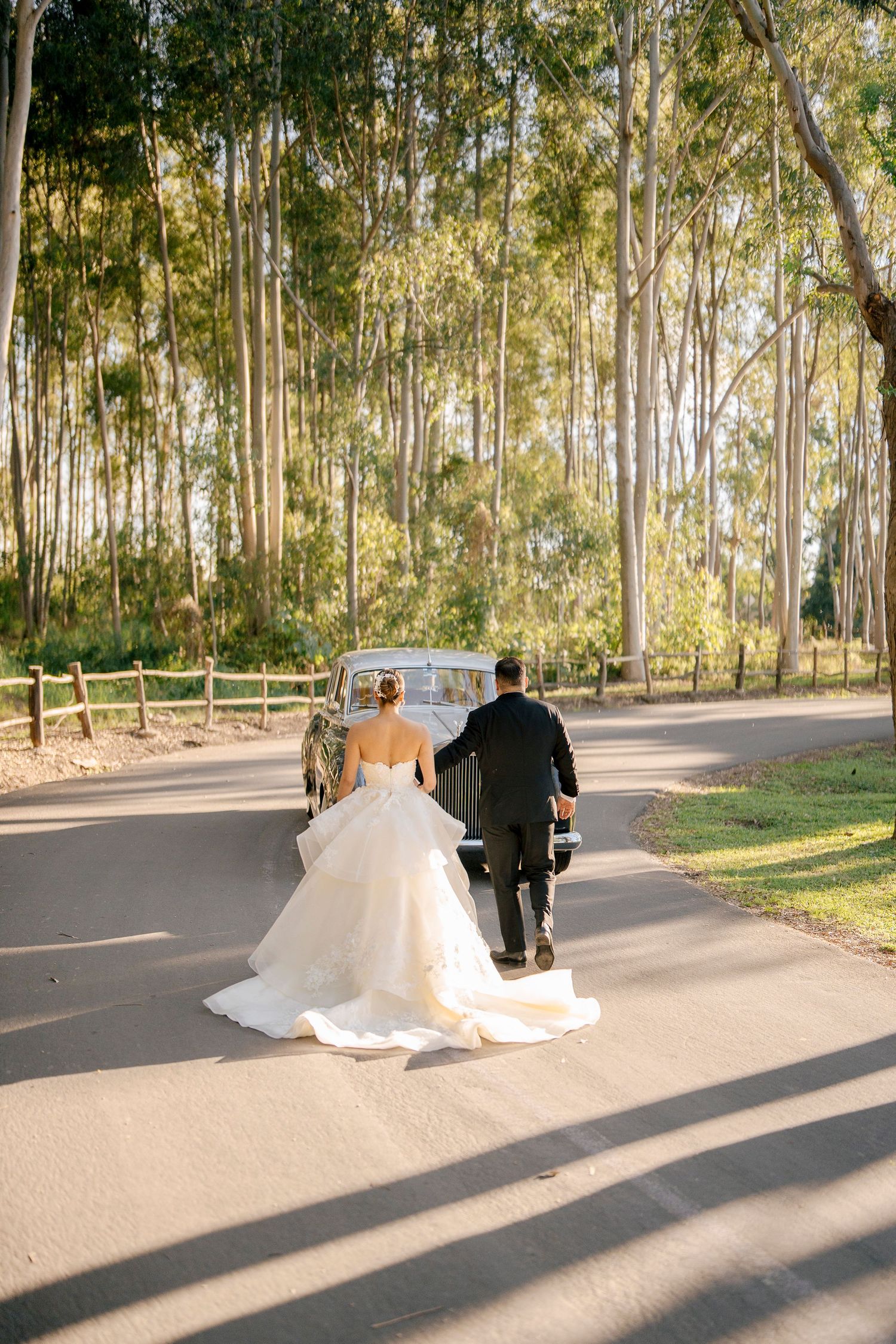 A couple in wedding attire walking down a tree-lined path on their special day with tall eucalyptus trees above.