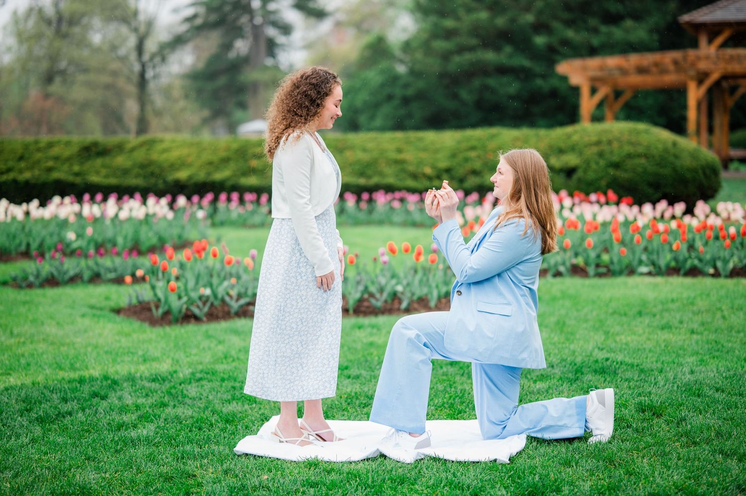 A romantic proposal scene in a spring garden with blooming tulips and a pergola in the background.