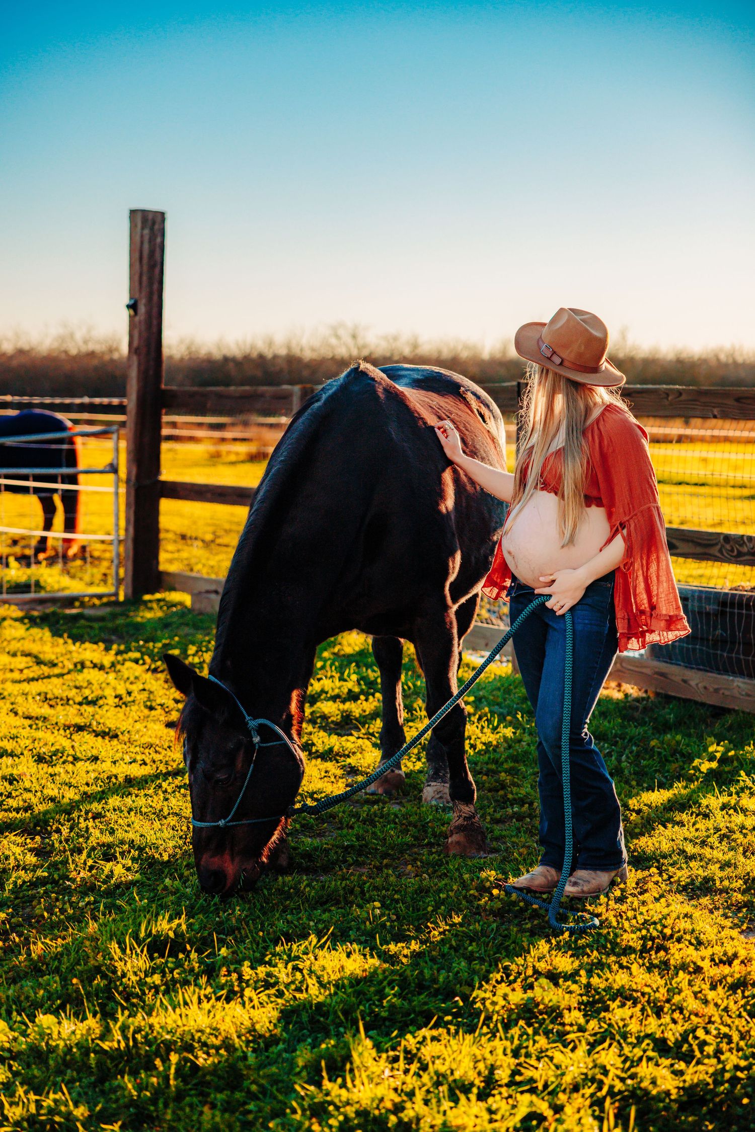 Horse and person in a golden field at sunset with warm sunlight casting long shadows across yellow wildflowers.