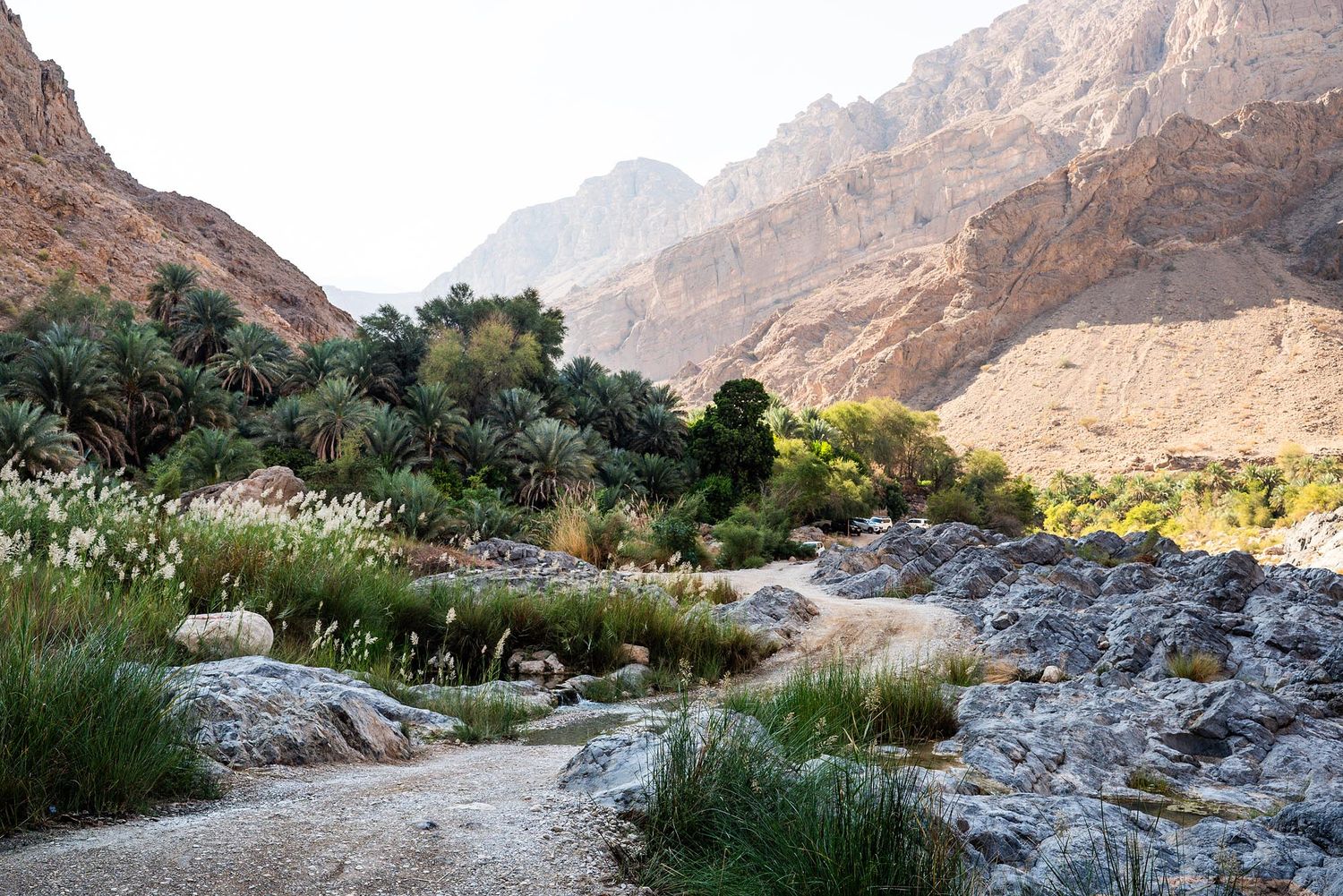A winding dirt path leads through a rocky desert oasis with mountains and green vegetation in Oman. Wadi Al Arbeieen
