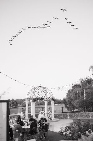 Amelia Island Wedding photographer