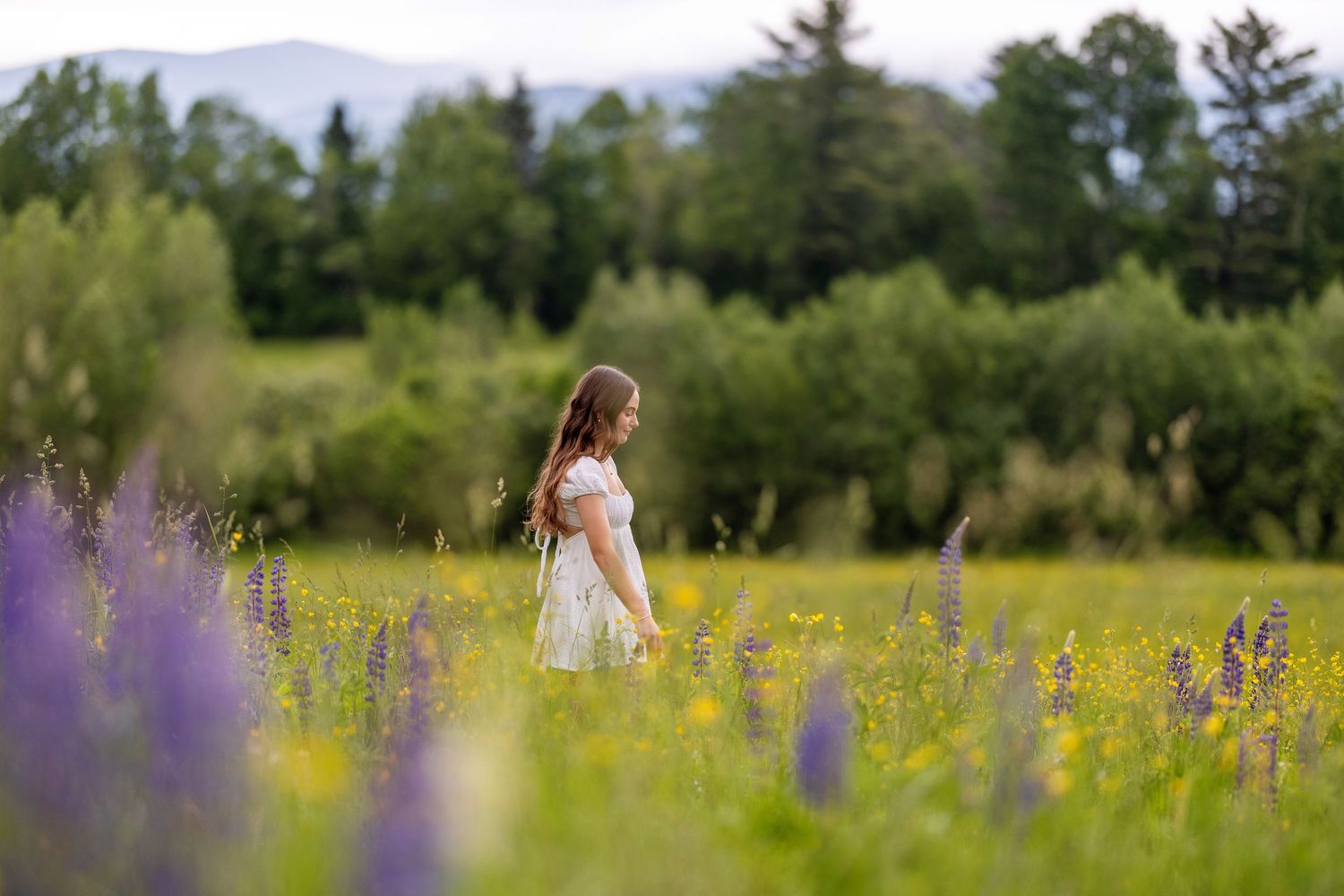 High school senior portrait in a wild flower field in NH