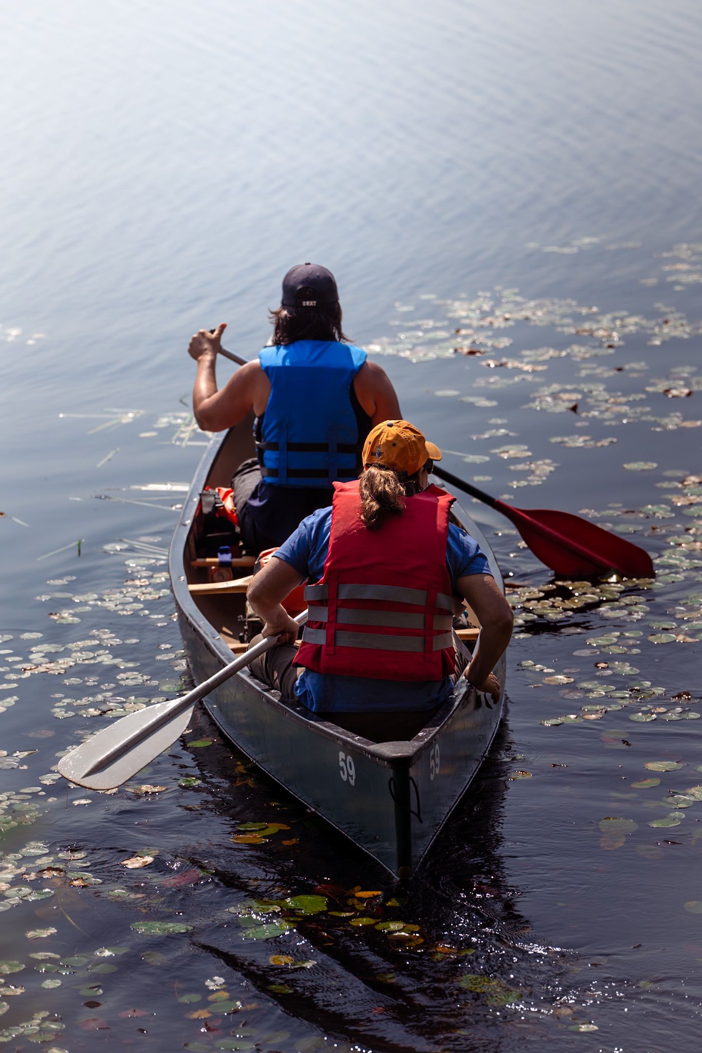 Two kayakers in life vests paddle a canoe through lily pads on calm waters during a sunny afternoon.