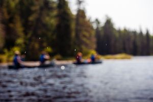 Out of focus kayakers paddling on a serene lake with evergreen forest along the shoreline.