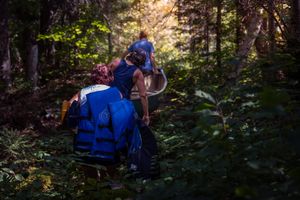 Hikers with blue backpacks traverse a sunlit forest trail during golden hour.
