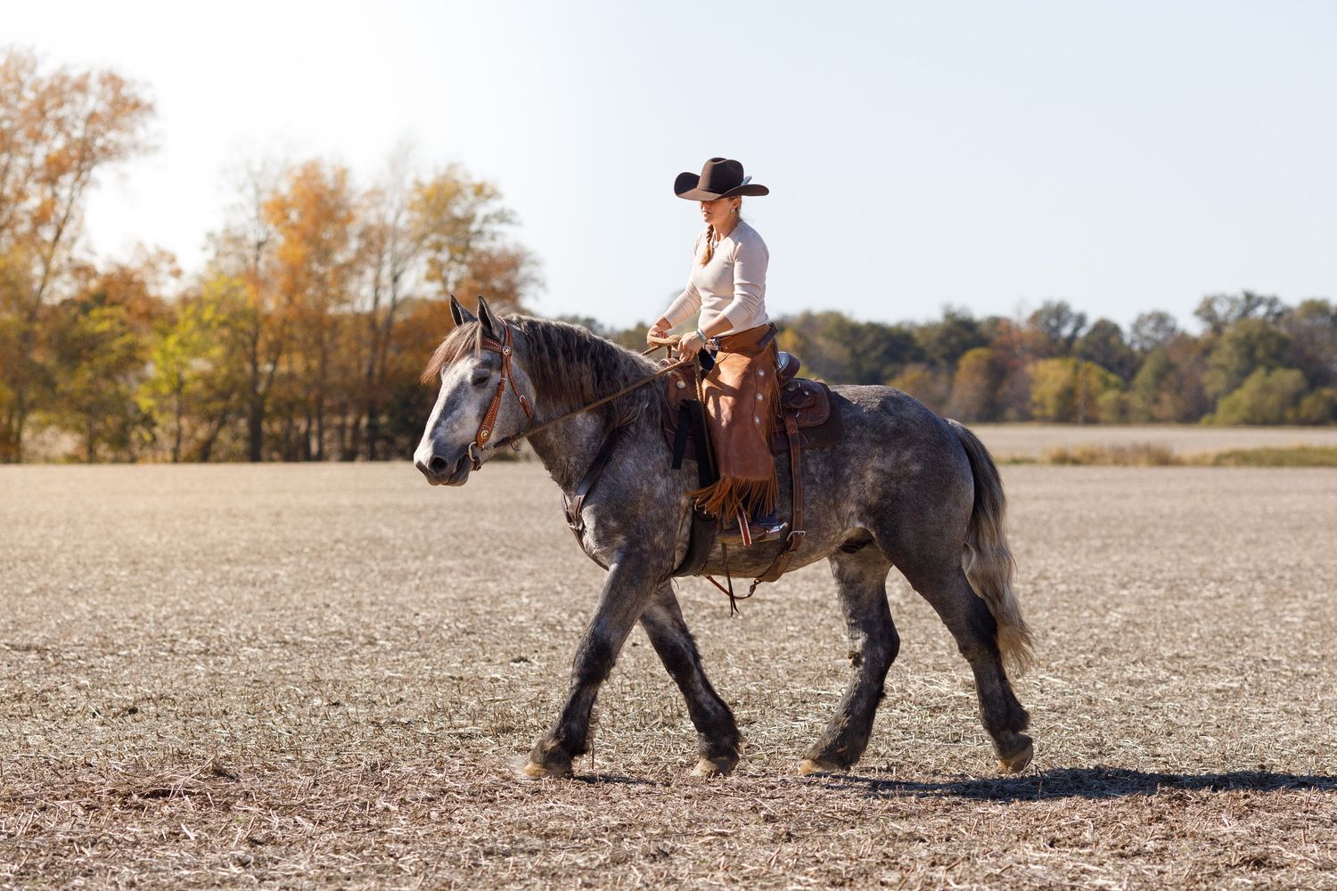 A young lady and her lesson horse posing in the warm and golden sunset light. She's wearing a poofy pink ballgown and tiara.